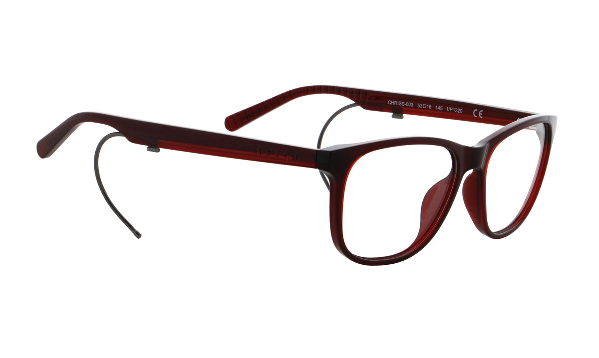 SPECT Frame, CHRISS 003, vel. 53
