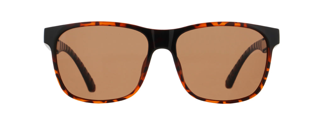 Red Bull SPECT RBS Sun, EARLE – havanna, brown