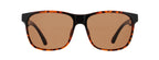 Red Bull SPECT RBS Sun, EARLE – havanna, brown