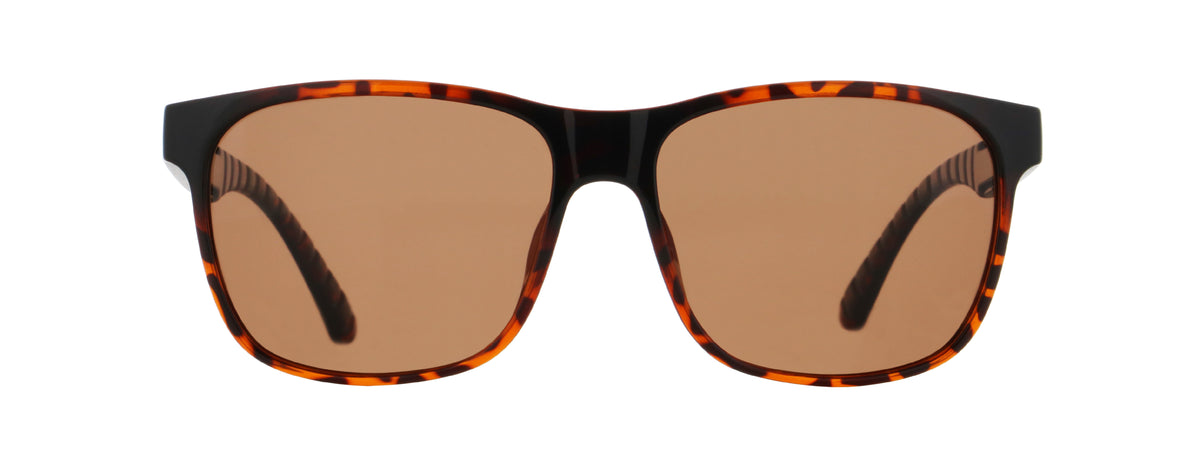 Red Bull SPECT RBS Sun, EARLE – havanna, brown