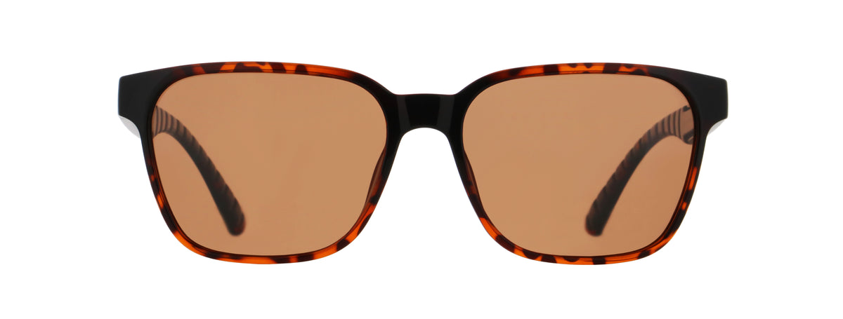 Red Bull SPECT RBS Sun, ELIOT – havanna, brown