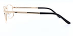 Simpleye MGSM 4218 C1
