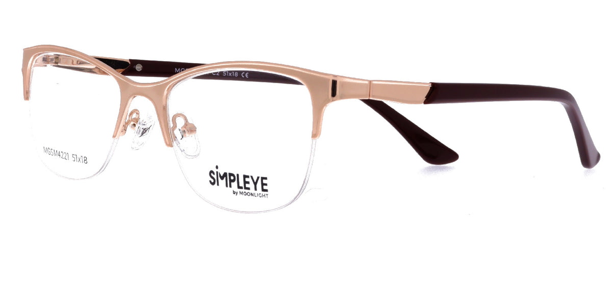 MGSM 4221 Simpleye