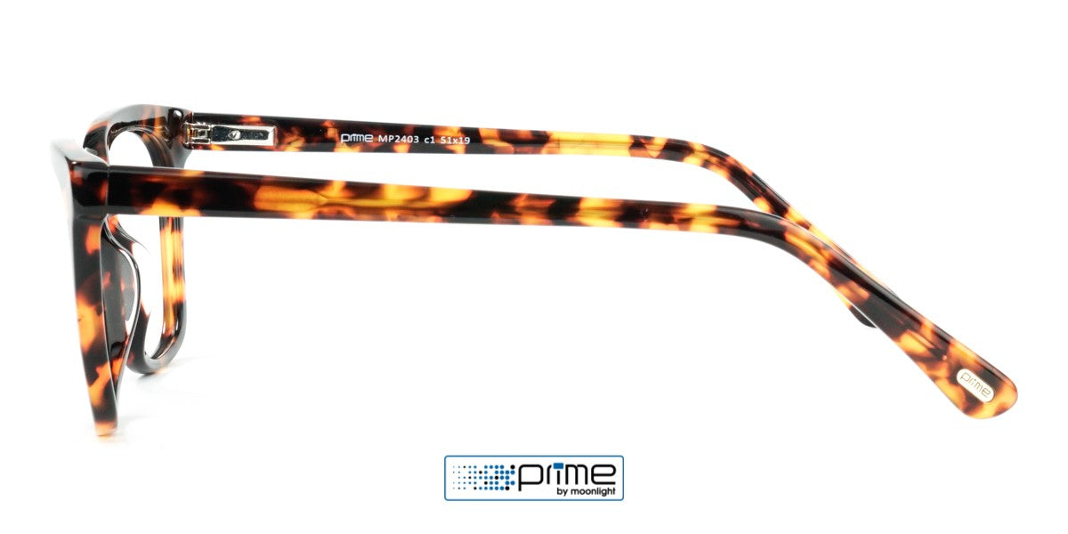 Prime MP 2403 C1