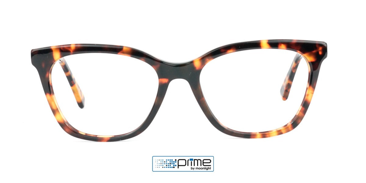 Prime MP 2403 C1